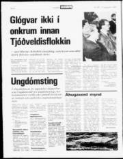 Síða 4
