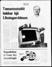 Síða 5