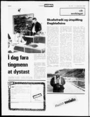 Síða 6