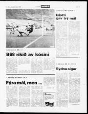 Síða 13