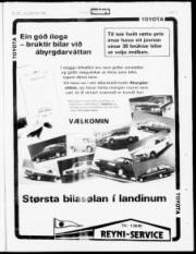 Síða 18