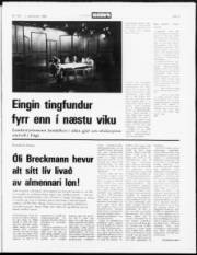 Síða 3
