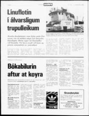Síða 6