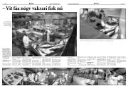 Síða 13