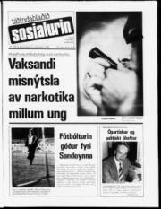 Síða 1