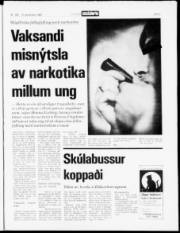Síða 3