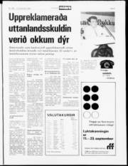Síða 5