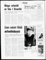 Síða 6