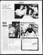 Síða 7