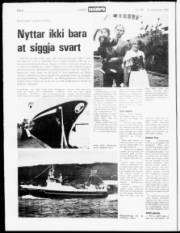 Síða 6