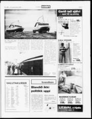 Síða 7