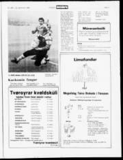 Síða 11