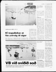 Síða 12