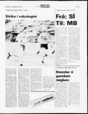 Síða 13