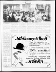 Síða 19