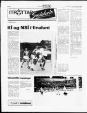 Síða 12