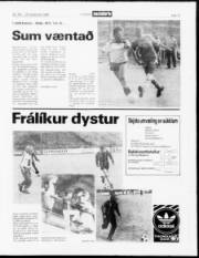 Síða 13