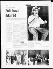 Síða 20