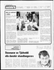 Síða 2