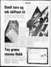 Síða 4
