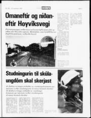 Síða 5