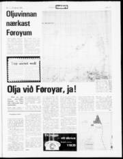 Síða 19