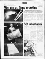 Síða 4