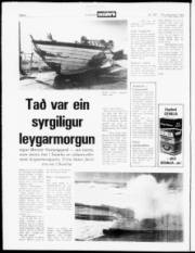 Síða 6