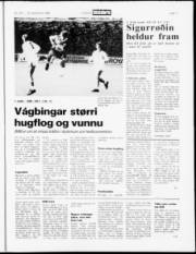 Síða 11