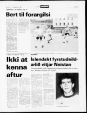 Síða 13