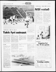 Síða 15