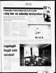 Síða 19