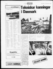 Síða 4