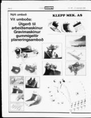 Síða 12