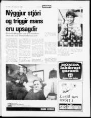 Síða 3