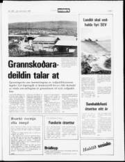 Síða 5