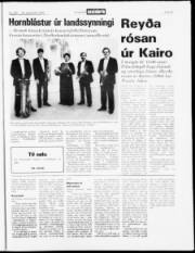 Síða 15