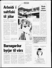 Síða 7