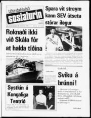 Síða 1