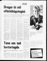 Síða 3