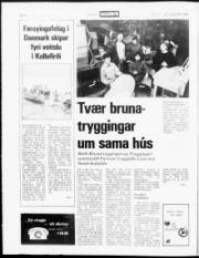 Síða 6