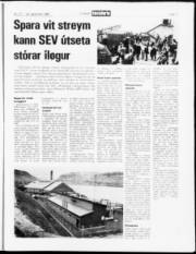Síða 11