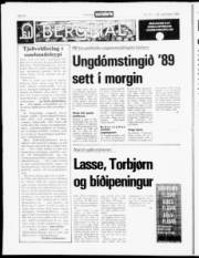 Síða 14