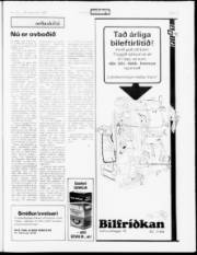 Síða 19