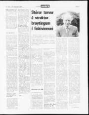 Síða 13