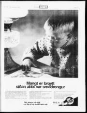 Síða 17