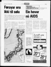 Síða 3