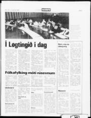 Síða 5