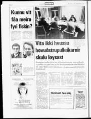 Síða 8