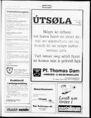Síða 19